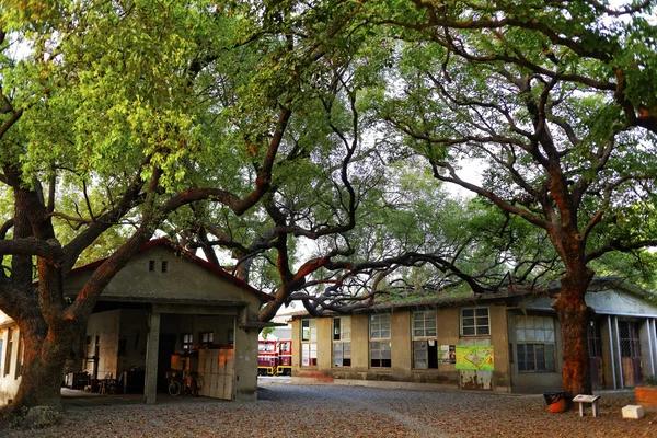 Guest Voices That Reveal the Reality of Westgate Resorts Reviews