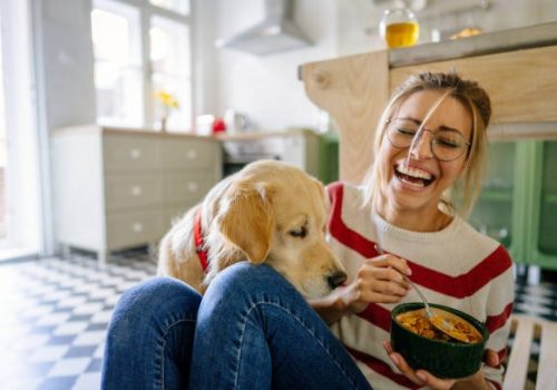 Taming the Green Serpent: Hose Wrangling 101